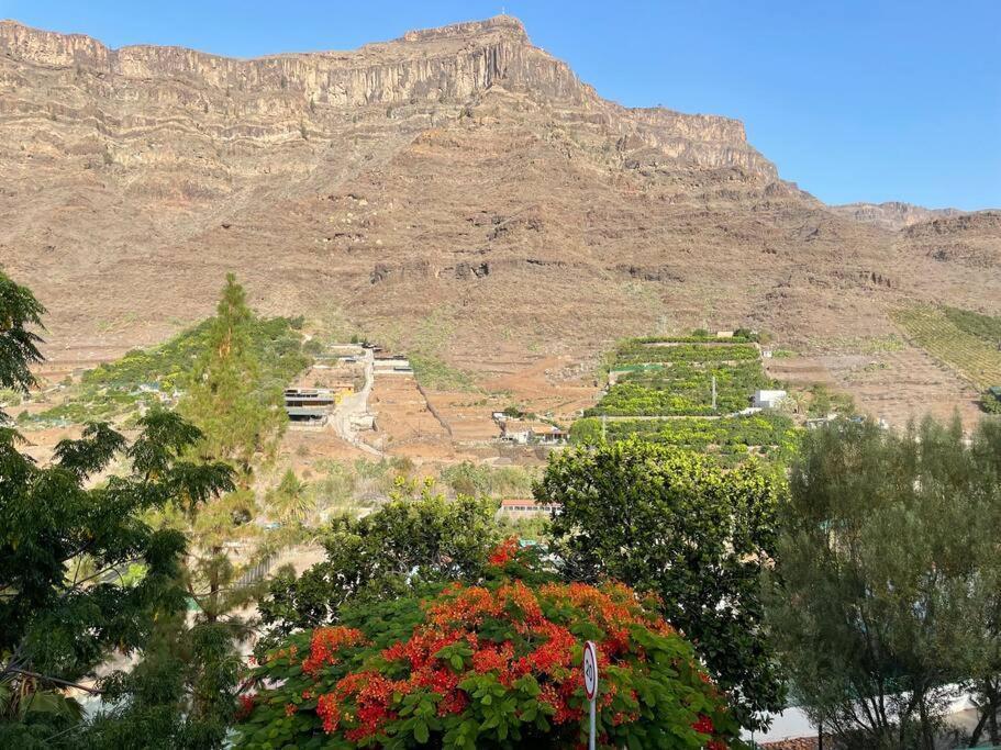 Cycling Holiday, 11 Km From Arguineguin Las Casillas  외부 사진